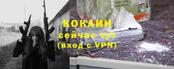 apvp Вяземский