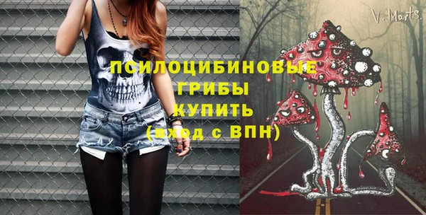 apvp Вяземский