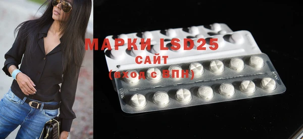 apvp Вяземский