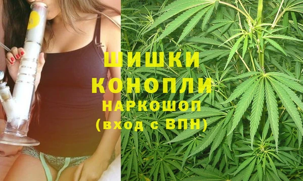 apvp Вяземский