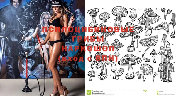 круглые Вязьма