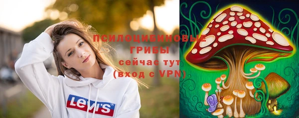 apvp Вяземский