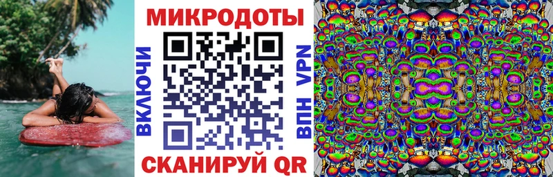 Галлюциногенные грибы прущие грибы  Городец 