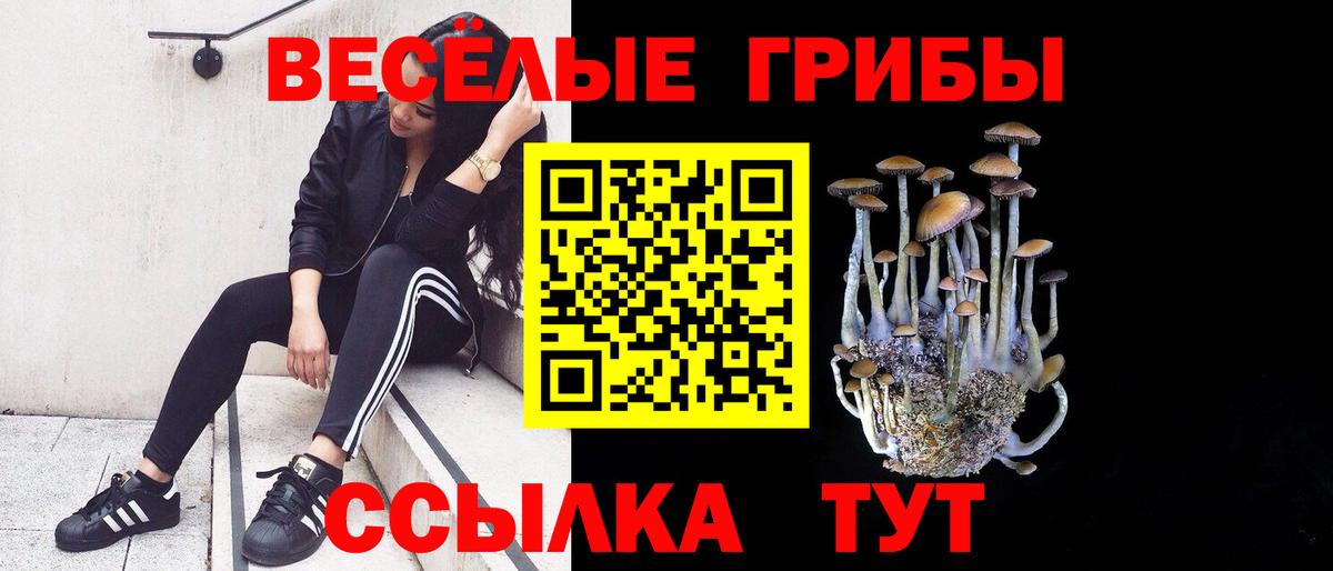 Городец  цены   Вход с VPN  Галлюциногенные грибы мицелий  Галлюциногенные грибы мицелий 